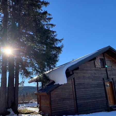 Chalet Du Bois Joli Saint-Laurent-en-Grandvaux المظهر الخارجي الصورة