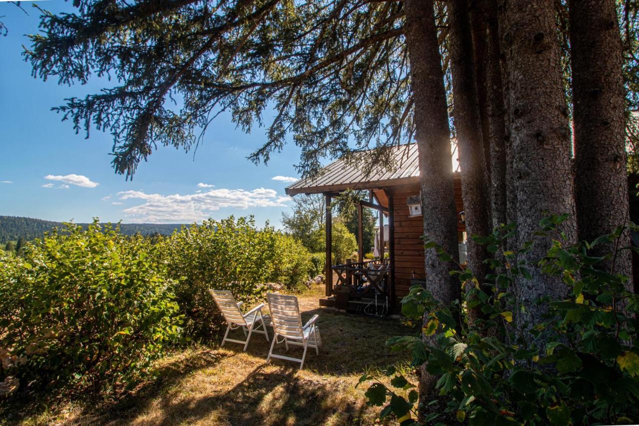 Chalet Du Bois Joli Saint-Laurent-en-Grandvaux المظهر الخارجي الصورة