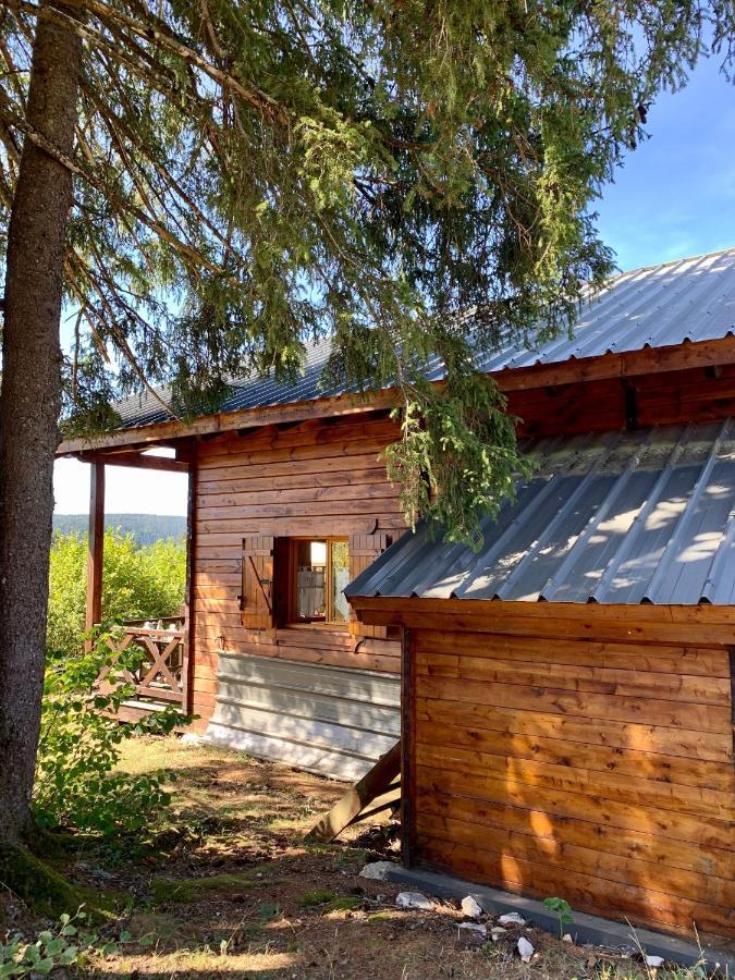 Chalet Du Bois Joli Saint-Laurent-en-Grandvaux المظهر الخارجي الصورة