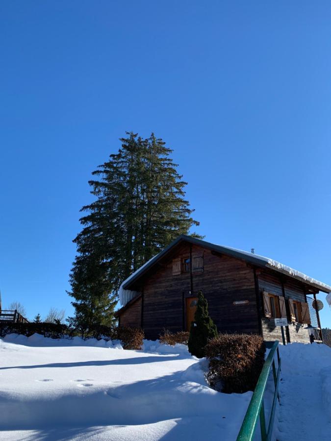 Chalet Du Bois Joli Saint-Laurent-en-Grandvaux المظهر الخارجي الصورة