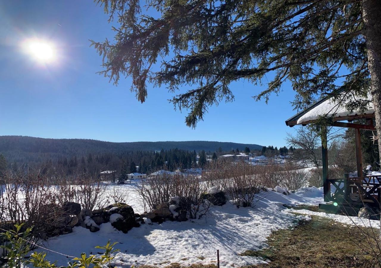 Chalet Du Bois Joli Saint-Laurent-en-Grandvaux المظهر الخارجي الصورة