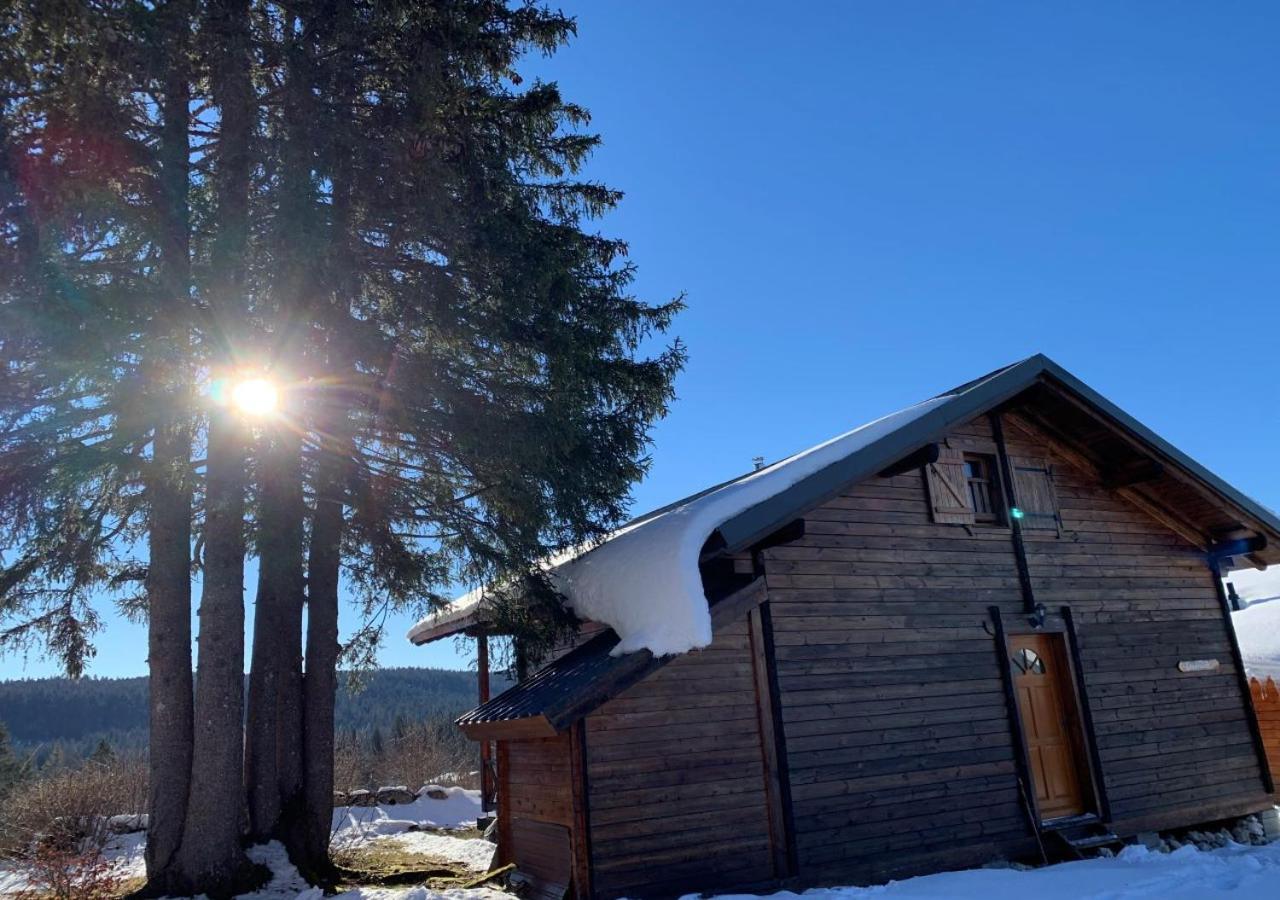 Chalet Du Bois Joli Saint-Laurent-en-Grandvaux المظهر الخارجي الصورة