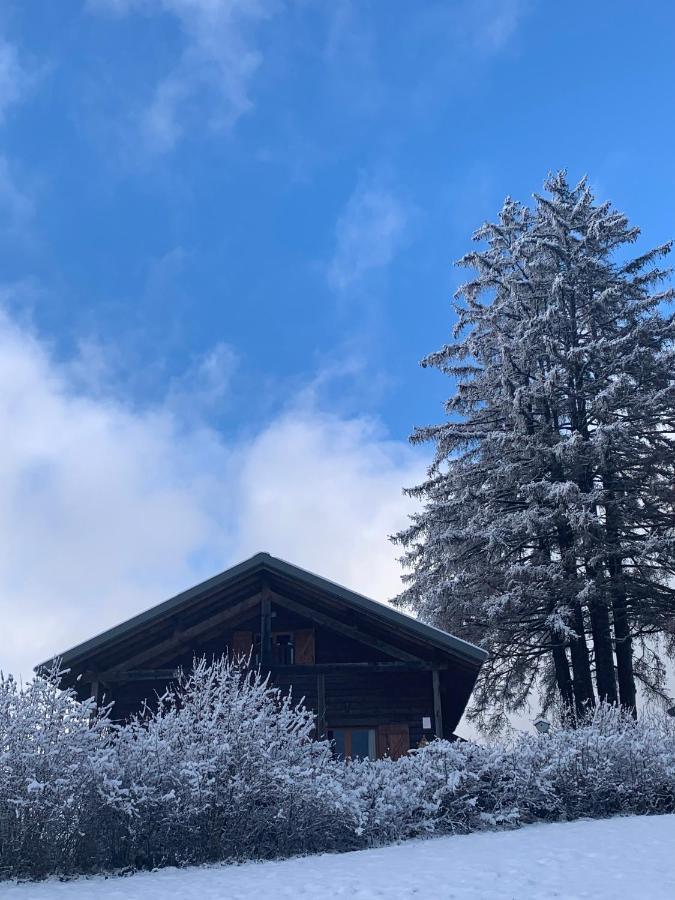 Chalet Du Bois Joli Saint-Laurent-en-Grandvaux المظهر الخارجي الصورة