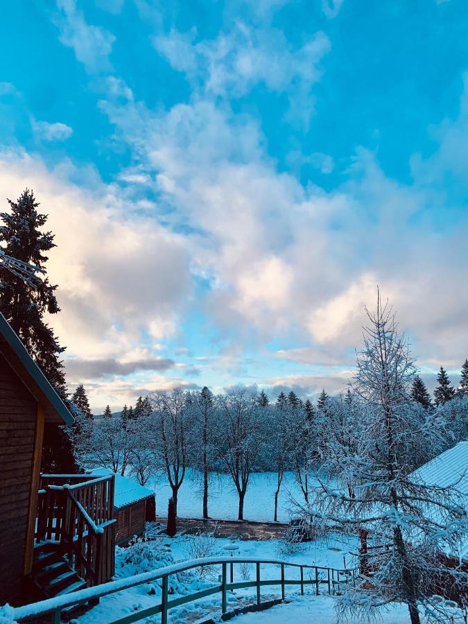 Chalet Du Bois Joli Saint-Laurent-en-Grandvaux المظهر الخارجي الصورة
